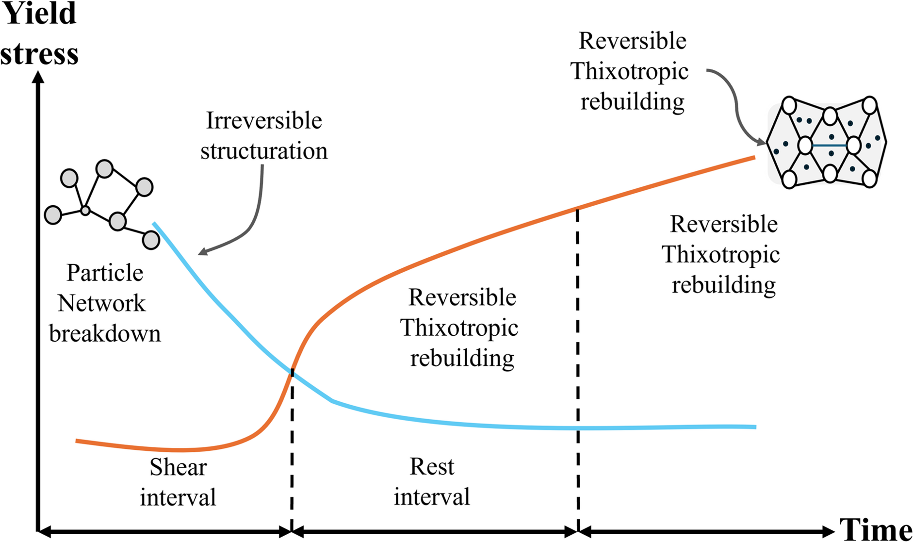 Time-resolved rheological characterization of cement paste using a distinct shear protocol: quantifying thixotropic and media preview